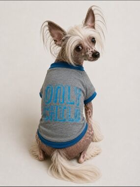 NWT Only Child Dog T-Shirt Grey & Blue Size Medium Pet Apparel